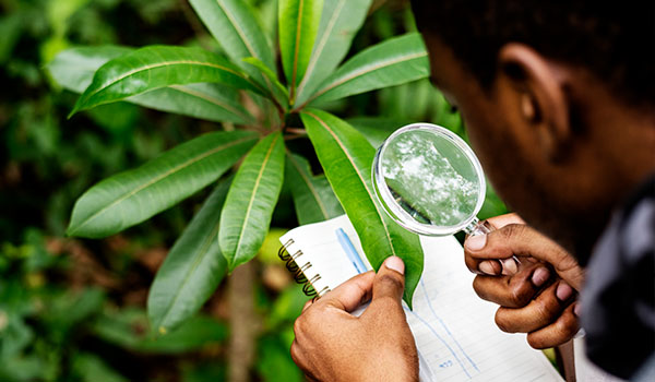 Environmental Audits